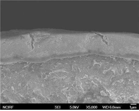 SEM 사진: 산화막에 형성된 반경방향 crack실험조건: 450 ℃, P(H2)/P(H2O)=103