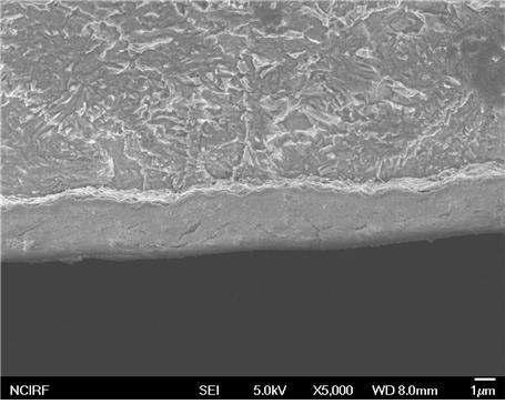 SEM 사진: 산화막에 형성된 반경방향 crack실험조건: 400 ℃, P(H2)/P(H2O)=103