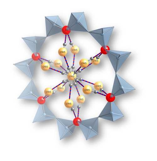 제올라이트 LTL의 12링 내부의 물 분자 집합체.