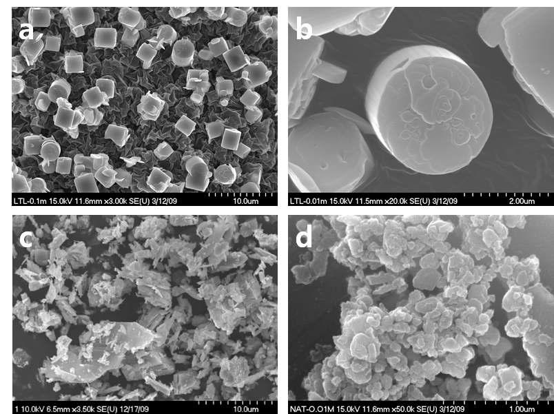 실험에 사용된 제올라이트의 주사전자현미경(SEM) 이미지. (a) LTL 제올라이트 의 입자 형태, (b) LTL 제올라이트의 확대이미지. 원주 모양의 형태를 가지고 있음. (c) K-NAT 제올라이트 이미지. 입자 크기가 다양하게 분포함. (d) Na-NAT 제올라이트 이미지. 입자 모서리가 완만하게 용해되어 있음.