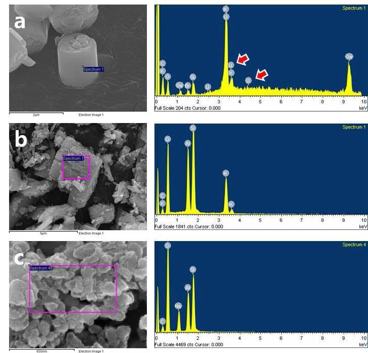 우라늄과 반응한 3가지 제올라이트의 주사전자현미경(SEM) EDS 분석. (a) LTL 제올라이트 화학성분 분석. 미량의 우라늄 성분이 제올라이트 구조내에 치환되어 있음을 확 인함(화살표). (b) LTL 제올라이트의 화학성분 분석. 구조 채널에 주요 양이온인 K+가 있음이 확인됨. 우라늄은 검출되지 않음. (c) K-NAT 제올라이트 화학성분 분석. 구조 채널에 주요 양이온인 Na+가 있음이 확인됨. 우라늄은 검출되지 않음.