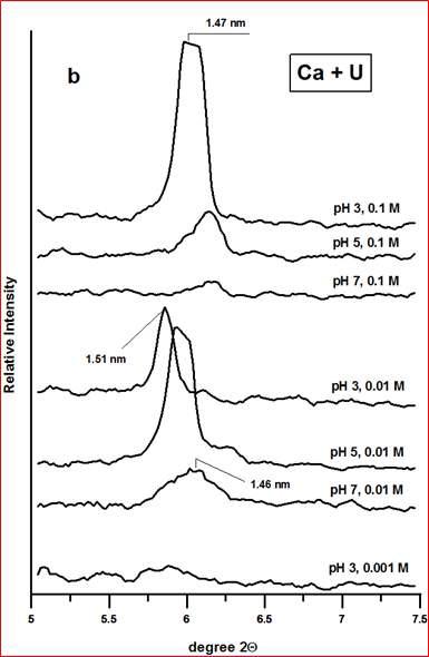 다양한 pH 하에서 우라늄과 칼슘이온이 공존하는 조건에서 나노운모 층간팽창 X-선 회절패턴들.