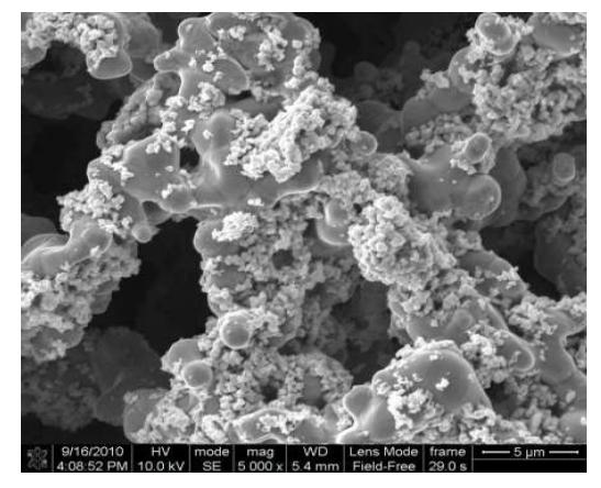 GSC를 코팅한 공기극의 SEM 사진
