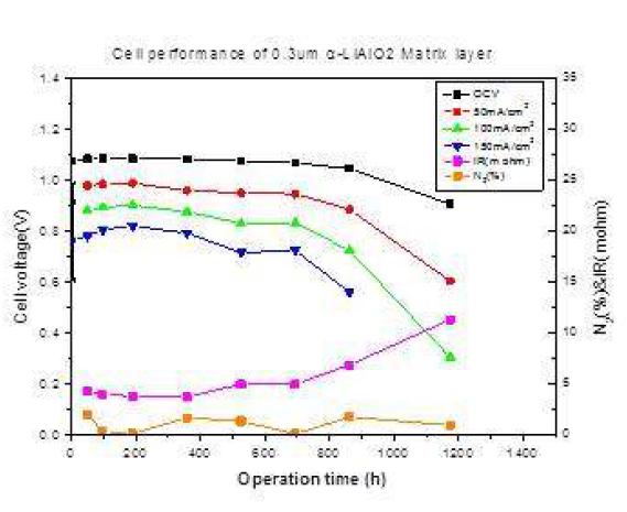 0.3um 미분말 알파 리튬알루미네이트 박막이 전사된 매트릭스를 이용한 단전지 성능