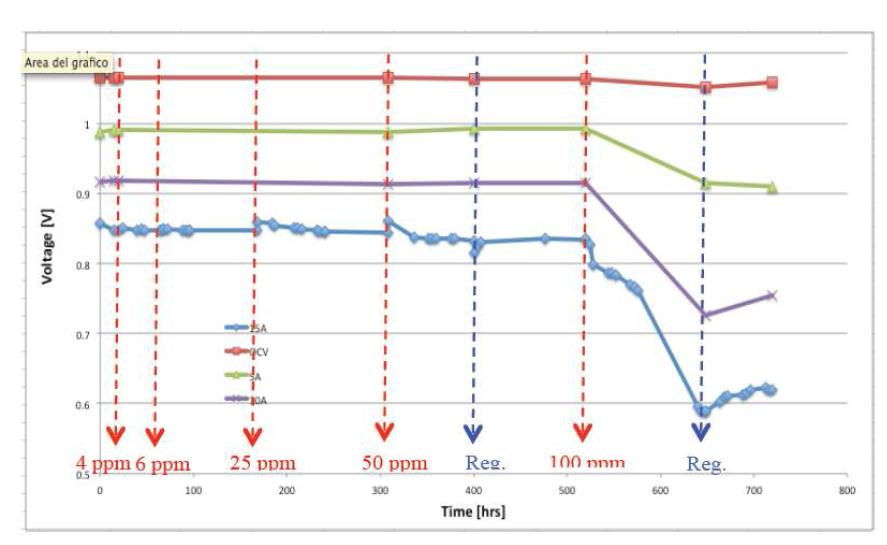 Voltage decay during SO2 poisoning under standard condition