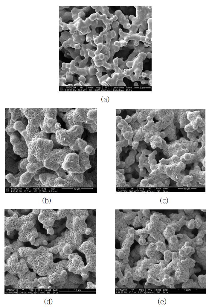 (a) pure Ni plate SEM 사진과 (b) pure Ni plate, (c) 0.2, (d) 1, (e) 5% NaCl 함침 porous Ni plate를 공기분위기에서 650 oC에서 100 시간 열처리 후 SEM