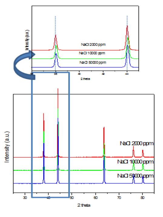 0.2, 1, 5% NaCl 함침 porous Ni plate를 공기분위기에서 650 oC에서 100시간 열처리 후 XRD 분석 결과