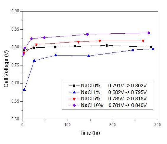 NaCl이 함침되지 않은 전극 및 1, 5, 10 wt% NaCl이 함침된 전극을 사용한 단전지에서의 셀 성능 변화