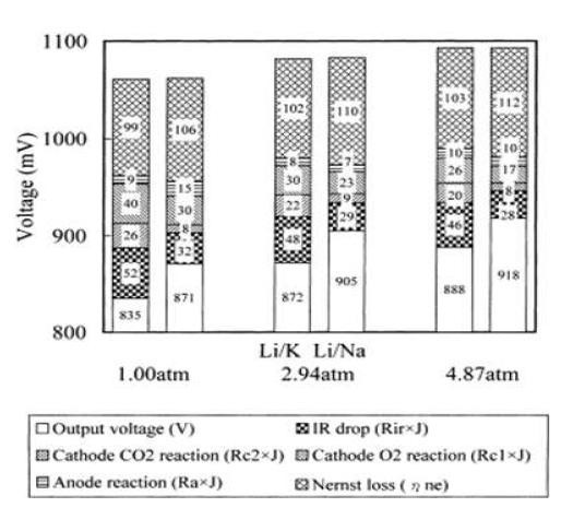 Li/K 계 전해질 및 Li/Na 계 전해질을 사용했을 경우의 성능 비교