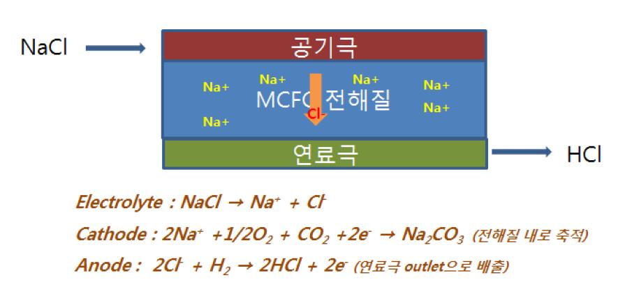 MCFC 내로 유입된 NaCl의 반응 메커니즘