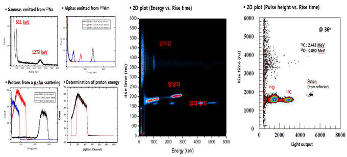 CsI(Tl) 섬광체에서 반응입자의 종류와 반응 에너지에 따른 오름시간의 비교