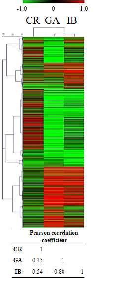 Expression pattern of the total DEGs and Pearson’s correlation coefficient analysis responding to different types of ionizing radiation. The red and green colors indicate up-regulation (log2 > 1) and down-regulation (log2 < -1), respectively.