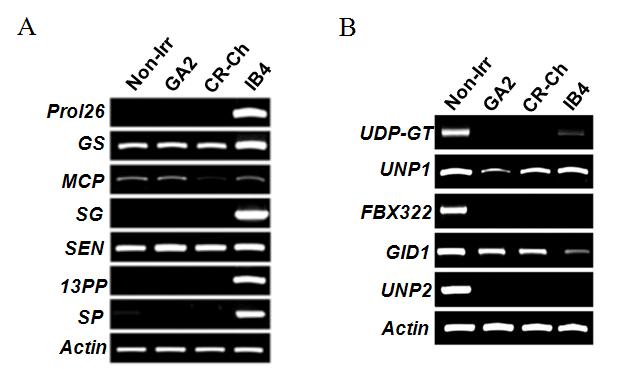 Up-(A) and down-(B) regulated genes responding to different ionization treatments.