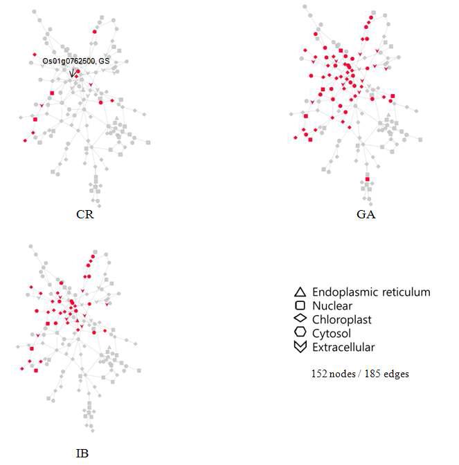 Co-expression network analysis of candidate RMG. Co-expression network (573 nodes and 903 edges) of candidate RMG by ARACNE algorithm. The red and green color of nodes indicate the up-regulated and down-regulated genes, respectively.