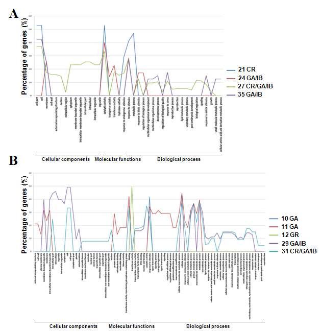 Distribution of functional enrich analysis in significant clusters (A) Up-regulated clusters (B) Down-regulated clusters