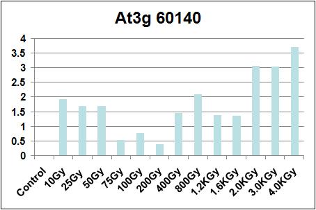 Quantitative real-time PCR analysis of At3g60140 transgenic line after gamma-irradiation.