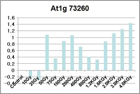 Quantitative real-time PCR analysis of At1g73260 transgenic line after gamma-irradiation.