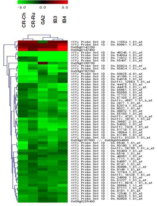 GeneTree analysis of about 29,000 reliable genes with a p-value less than 5% by the ANOVA test. Clustering of the expression profile was done with log transformed average values taking mature leaf as base line. The color scale at the top of the heat map is given in log2 intensity value. Genes were differentially expressed in response to ionizing radiation.