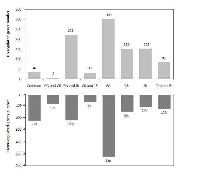 Candidate genes used for Genechip development of the specific expressed genes in different types of ionizing radiation.