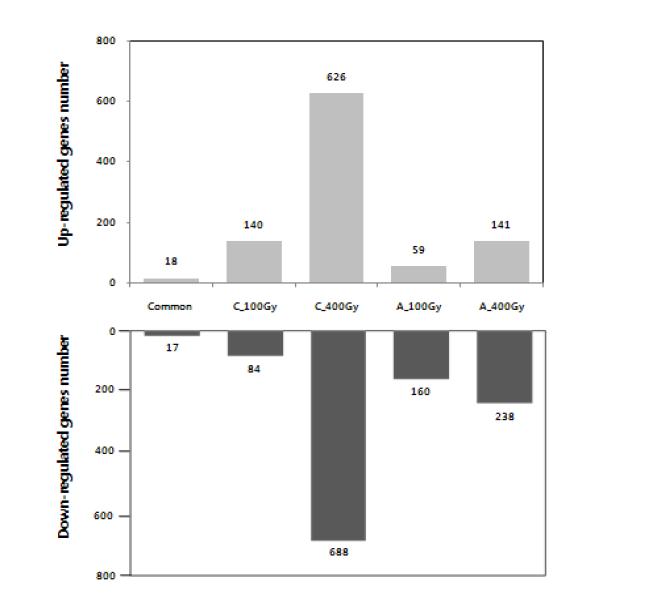 Candidate genes used for Genechip development of the specific expressed genes in dAcute and Chronic radiations