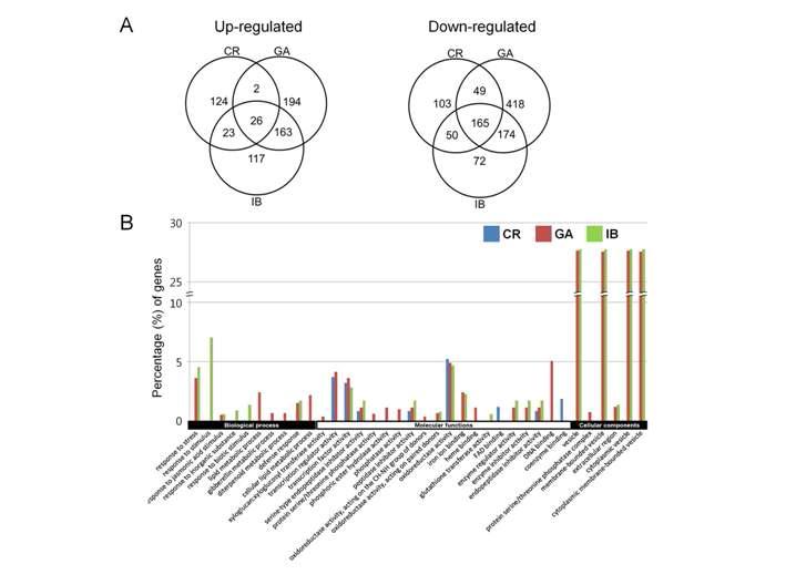 Venn diagrams and functional enrichment analysis of specific DEGs for CR, GA and IB.