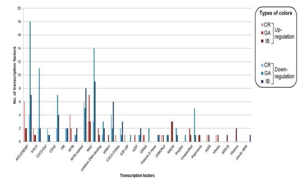 Distributions of DEGs that are transcription factors. The colors represent the different treatments and changes in the gene expression levels. Up- and down-regulation correspond to expression levels of log2 (FC) ≥ 1 and log2 (FC) ≤ -1, respectively.