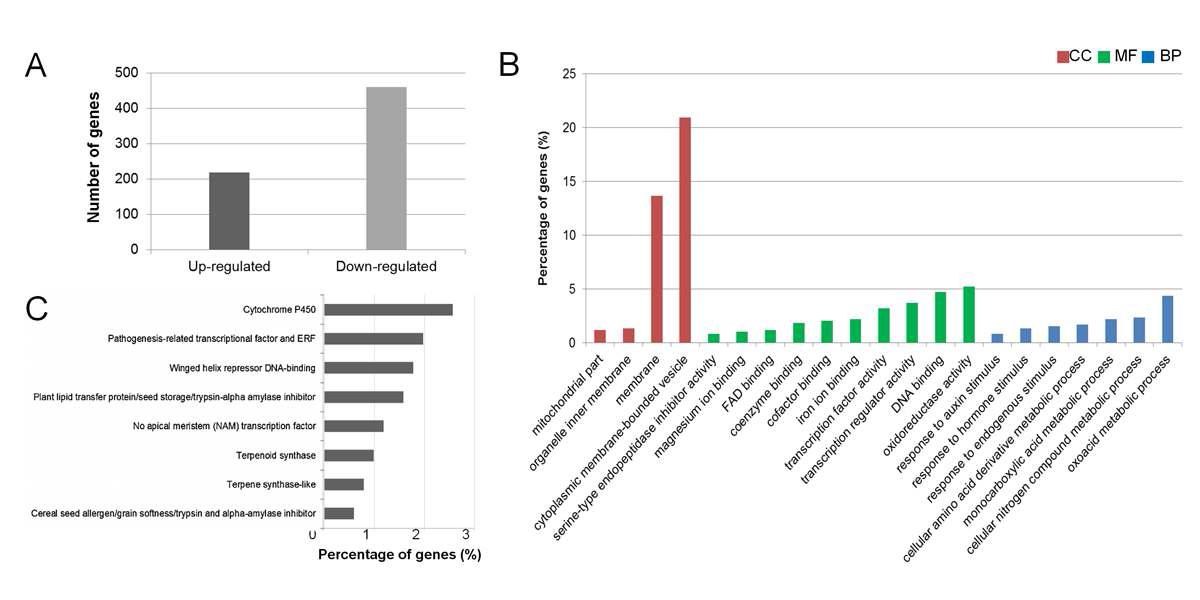 Differentially expressed genes (DEGs) in rice by CR. A, Distributions of DEGs. The up- and down-regulated genes represented the expression levels oflog2(FC)> 1andlog2(FC)< -1,respectively.BandC,Overrepresentedfunctionsandgenefa miliesinCR-responsegenesbyfunctionalenrichmentanalysiswithp-value< 0.05.Thecolor ofbarsindicatestheGOcategoriessuchascellularcomponents(CC),molecularfunctions(M F)andbiologicalprocesses(BP).