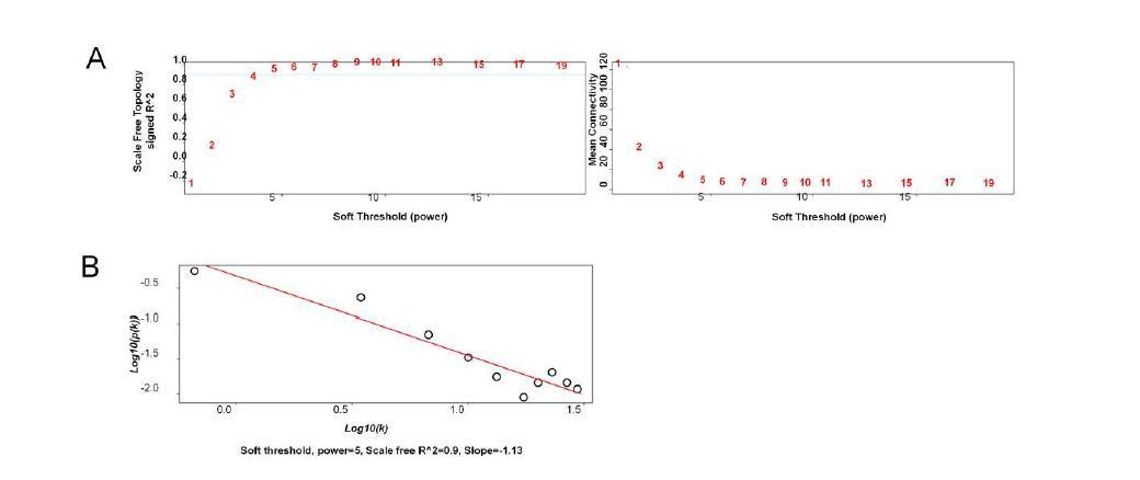 Weighted gene co-expression network of CR-response genes.