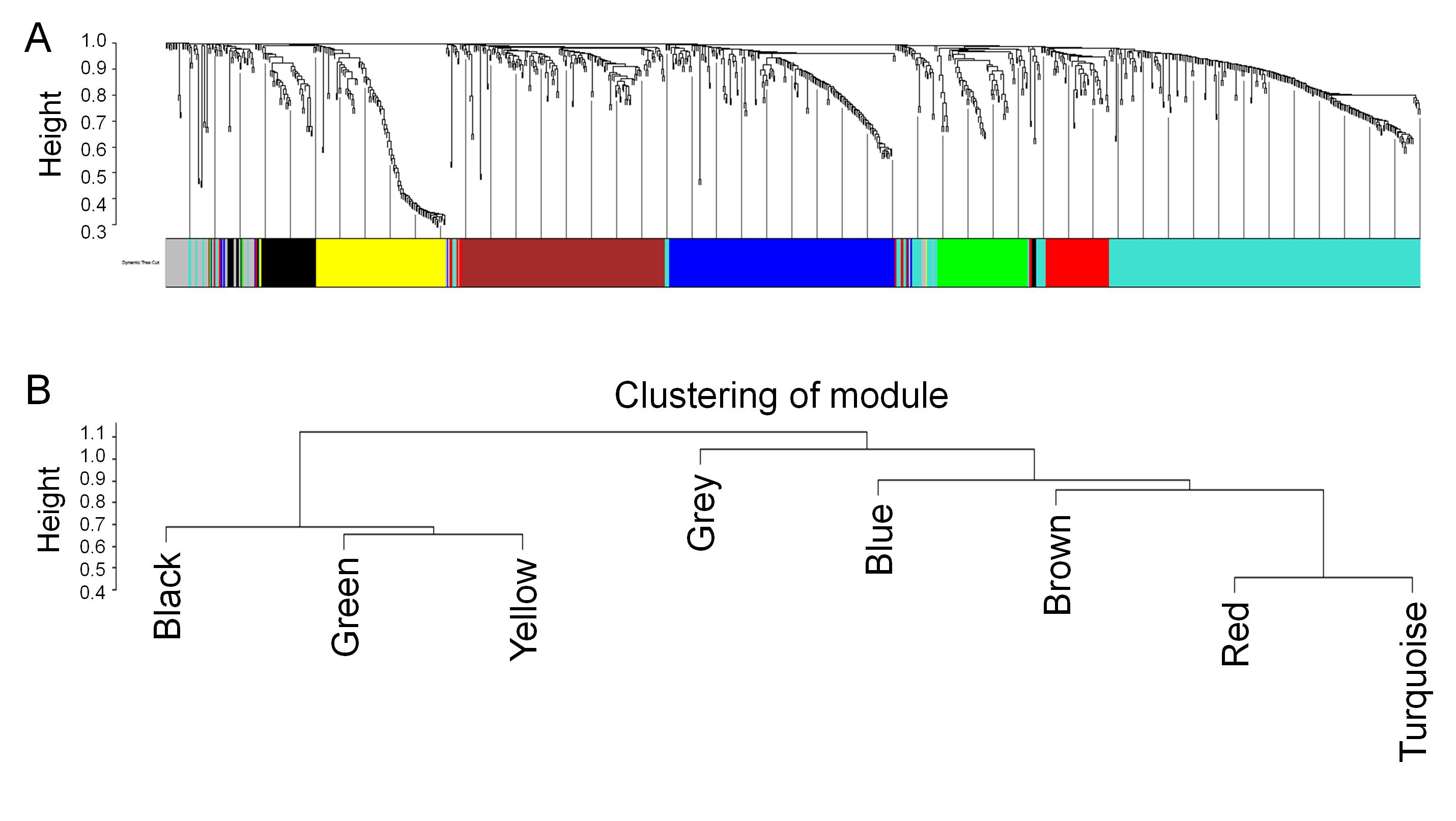 Gene modules and tree of IB-response genes. A, Gene modules. B, hierachical clustering tree of each module. Genes that do not belong to any module are colored gray