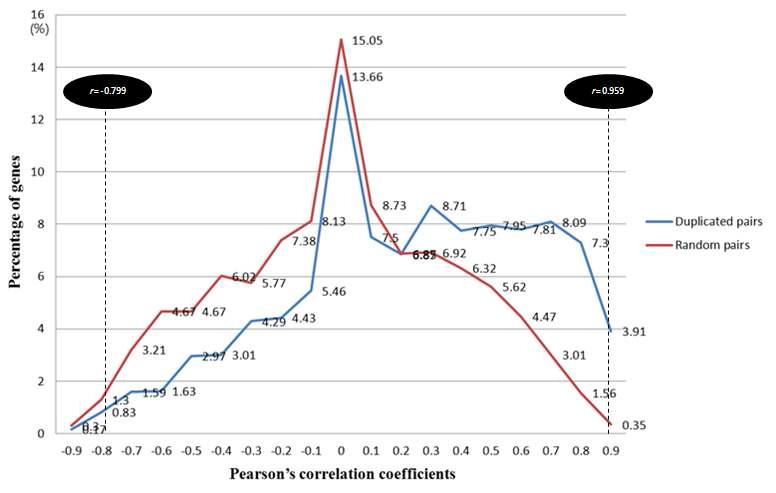 Distribution of Pearson's correlation coefficients of duplicated pairs comparing with random pairs.