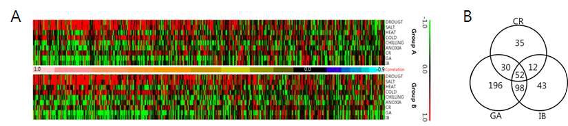 Differentially expressed genes in various irradiated-plants against 6 abiotic stress. A : Heatmaps of DEGs in 9 stress, B: Distributions of DEGs in CR, GA and IB. Group A and B indicates each genes of duplicated pairs.