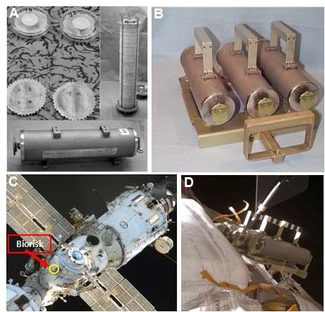 BIO-RISK에 탑재될 시료 (A)와 BIO_RISK 실린더 (B), ISS 우주선 (C), ISS 우주선에 고정된 BIO_RISK (D) 모습.