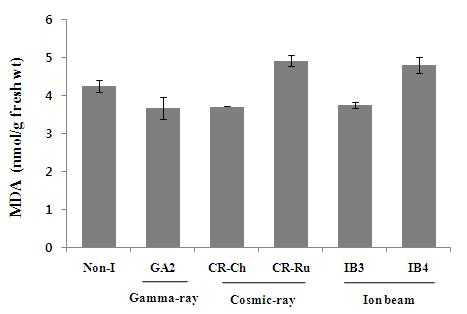 Malondealdehyde (MDA) content in the leaves of non-irradiated and irradiated plants.