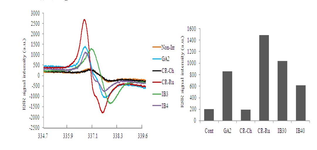 Electron spin resonance (ESR) spectra and signal intensity in non-irradiated and ionizing irradiated leaves.