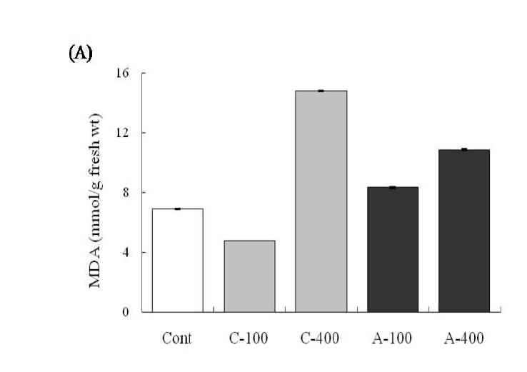 Physiological effects of chronic and acute gamma-irradiation on the MDA in leaves of the non-irradiated control plants and chronic and acute irradiated plants with 100 and 400 Gy dose.