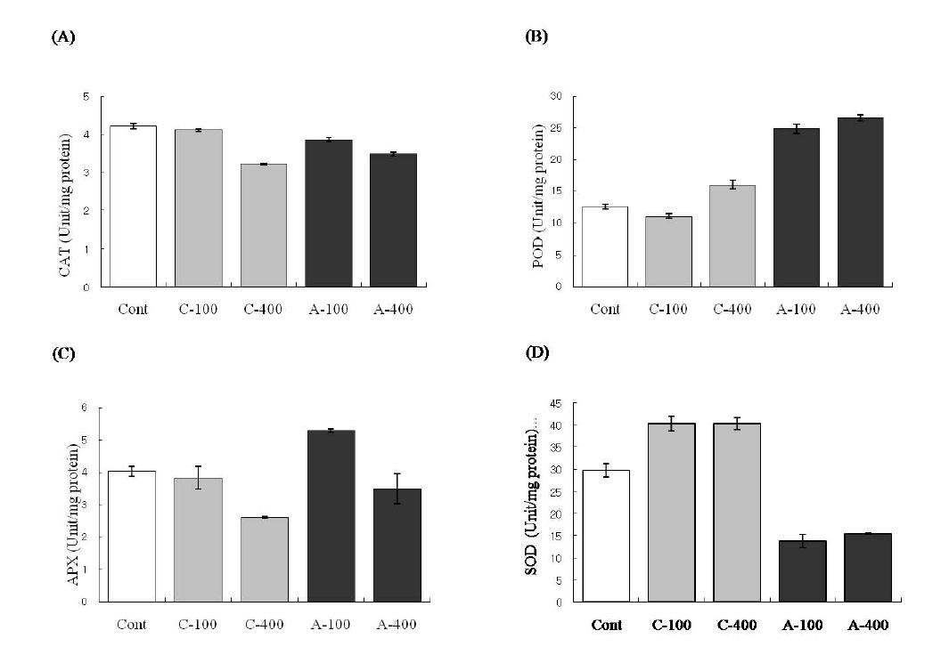 Antioxidant enzyme activities by 100 and 400 Gy of chronic and acute gamma irradiation in rice leaves. Catalase activity(A), peroxidase activity(B),ascorbate peroxidase activity(C), and superoxide dismutase activities(D). Bars represent standard errors(n=3)