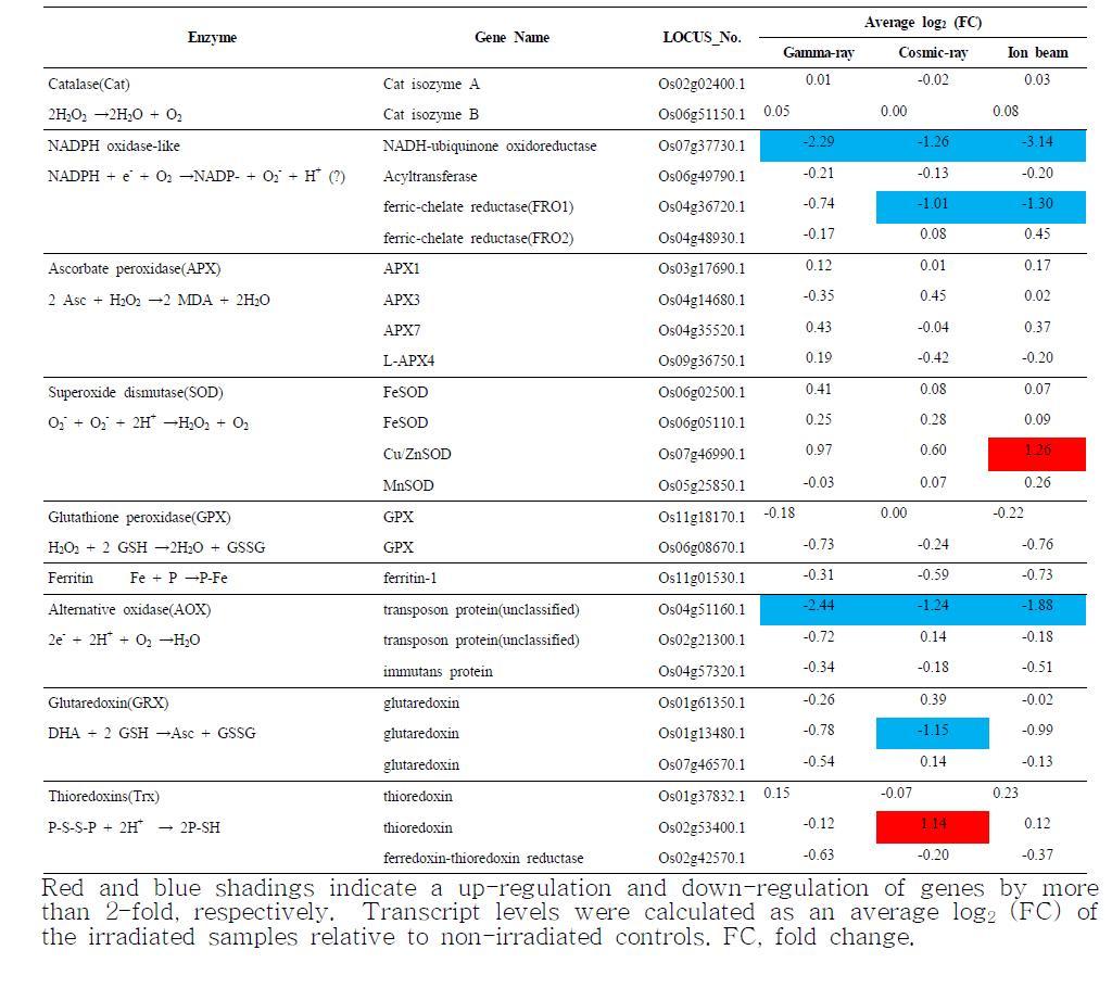 Gene expression of rice genes associated with the reactive oxygen species signaling transduction pathways in response to different ionization treatments.