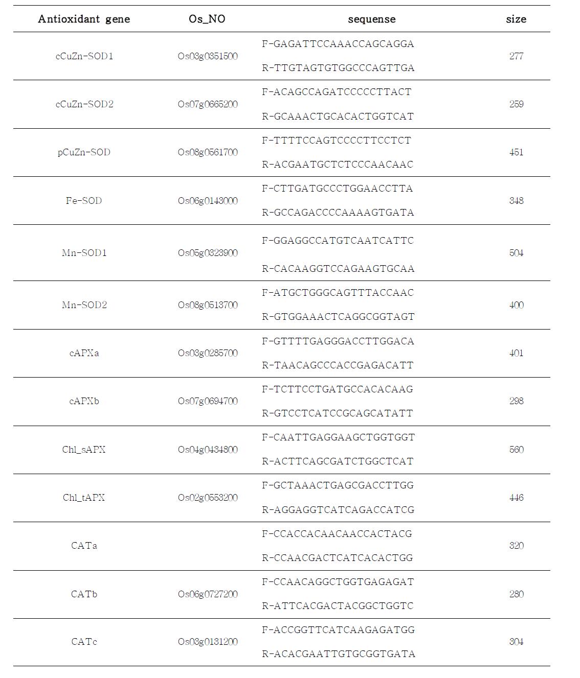 Primer list of antioxidant gene in rice.