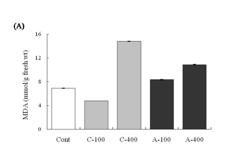 Physiological effects of chronic and acute gamma-irradiation on the MDA in leaves of the non-irradiated control plants and chronic and acute irradiated plants with 100 and 400 Gy dose.