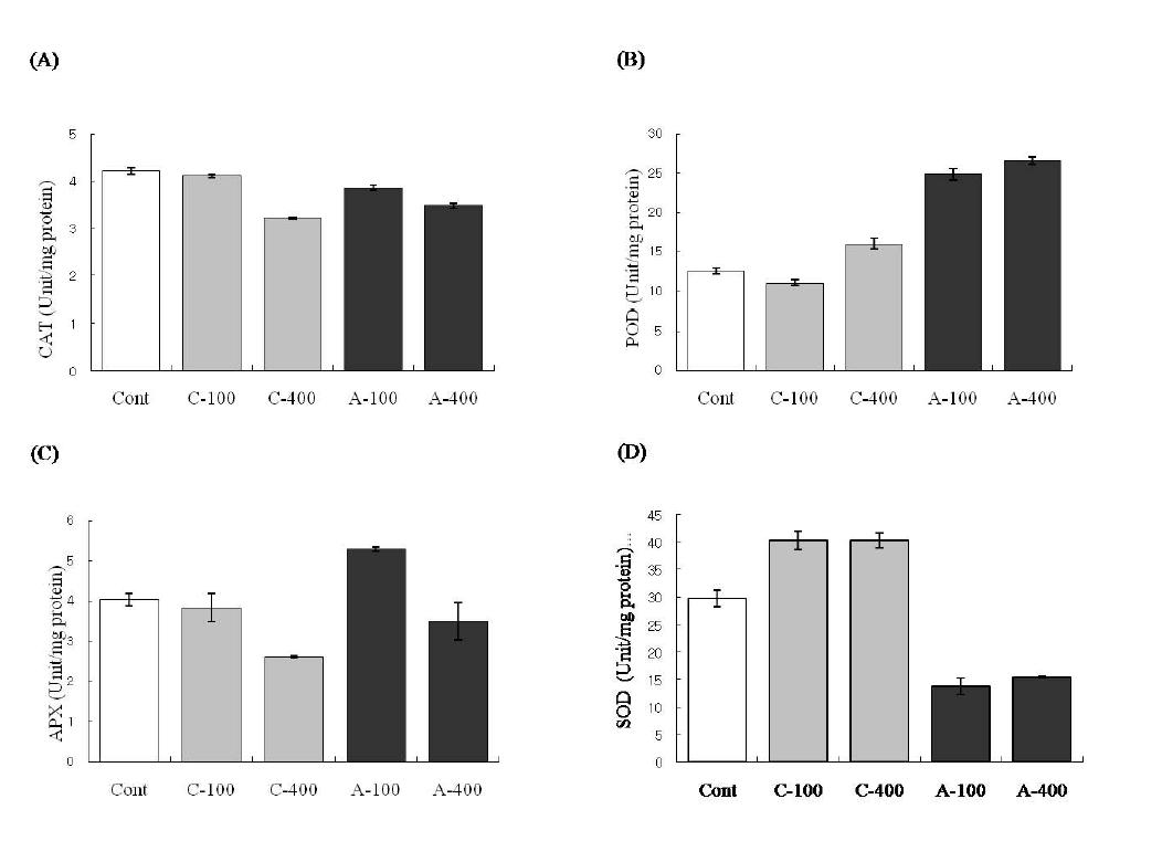 Antioxidant enzyme activities by 100 and 400 Gy of chronic and acute gamma irradiation in rice leaves. Catalase activity(A), peroxidase activity(B),ascorbate peroxidase activity(C), and superoxide dismutase activities(D). Bars represent standard errors(n=3)