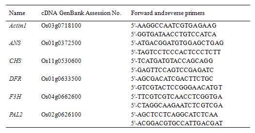 Primer list for anthocyanin biosynthetic genes in different types of ionizing radiations