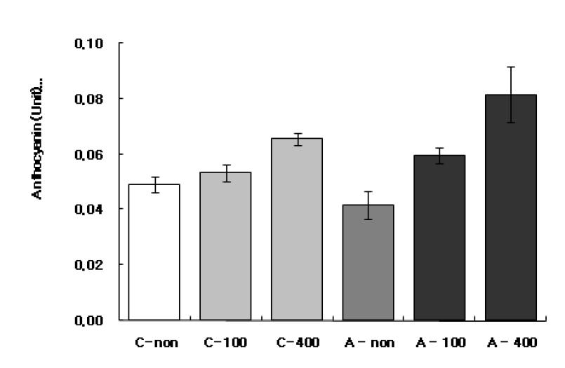 Anthocyanin contents of leaf blades by acute(A) and chronic(C) gamma-irradiation patterns. The non, 100 and 400 means non-irradiation, 100 Gy, and 400 Gy gamma-irradiation.