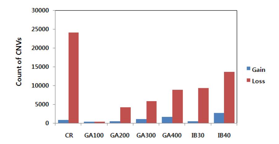 Number of CNVs detected by CGH analysis in different types of ionizing radiations.