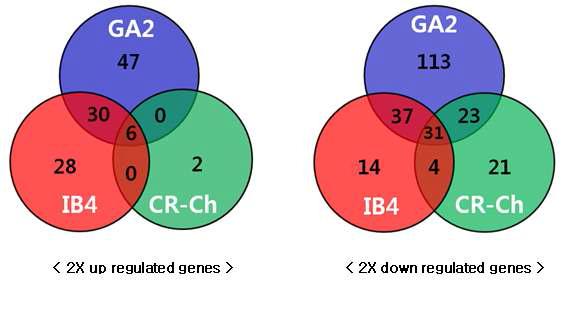 Comparison of 2X up and down regulated genes at ionizing radiation