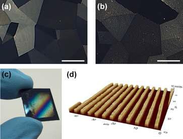 (a,b) 패터닝 (간격 2 um) 전후의 결정질 루브렌 박막의 이미지 (c) 미세패턴 루브렌 박 막의 광학이미지. 간선무늬에 따른 색 변화가 보이는 것을 통해 일정하게 대면적으로 패턴되었음 을 알 수 있다. (d) 원자력 현미경을 통한 루브렌 패턴의 3차원 이미지