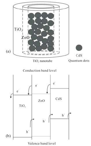 ZnO가 증착된 CdS 증감 TNT의 모식도와 에너지 다이어그램