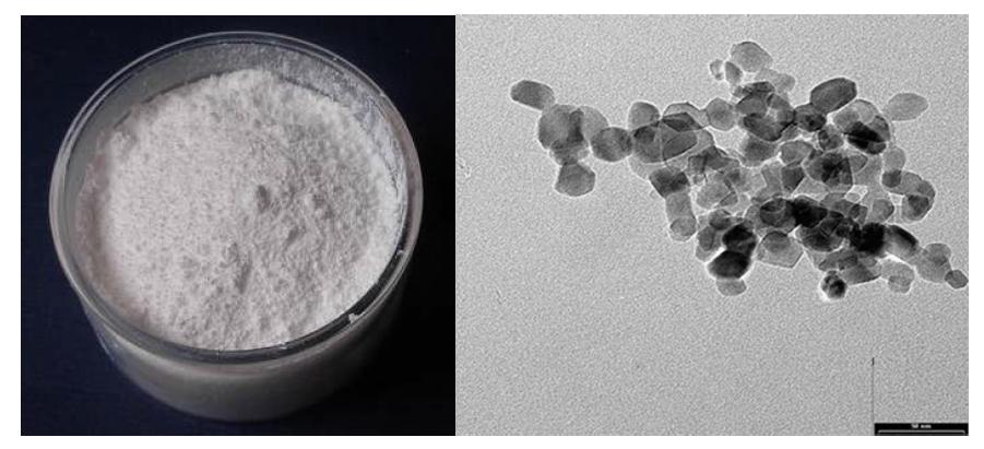 Degussa사의 제품 P25 TiO2 나노입자 파우더(좌)의 투과전자현미경 이미지(우).