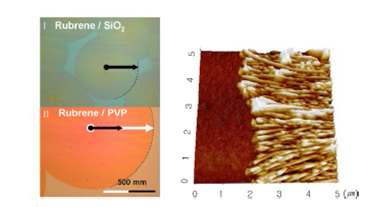 서로 다른 기판에서 제작된 루브렌 결정 구조 (좌) 편광현미경 (POM) 이미지 (우) 원자력간현미경 (AFM) 이미지