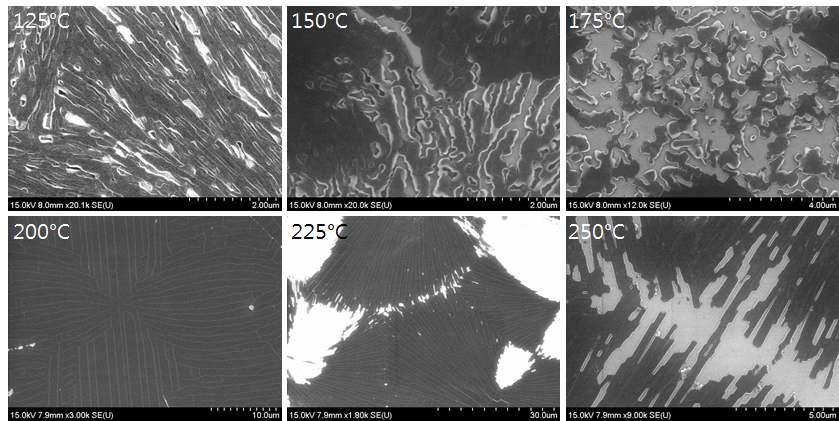 공기 중에서 각 온도별로 급속 가열된 Pristine 루브렌 박막의 FE-SEM 이미지