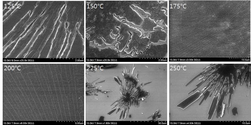 전자빔 2.5 X 1015 조사 후에 공기 중에서 각 온도별로 급속 가열된 루브렌 박막의 FE-SEM 이미지 (두께 = 700 nm)